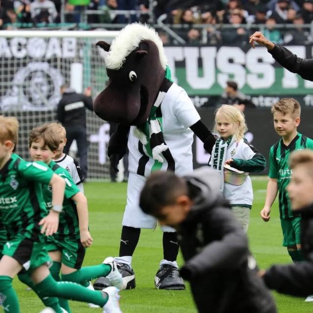 1728846321182076073.jpg 1728845596431.jpg